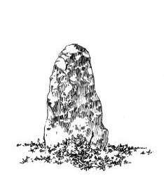 672 Finistère – Menhir  Men-Berr – Leuhan – Coray