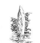 793 Menhir de la Roche Longue – Quintin – Côtes d’Armor